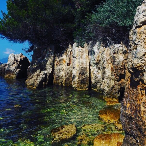 Iles de Lérins, Saint Honorat